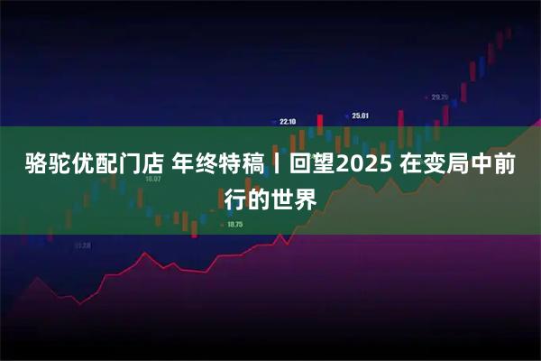 骆驼优配门店 年终特稿丨回望2025 在变局中前行的世界