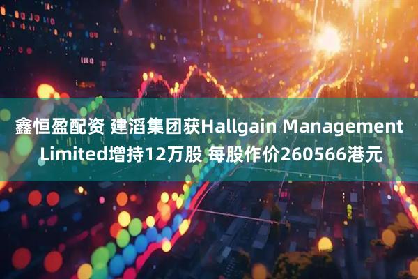 鑫恒盈配资 建滔集团获Hallgain Management Limited增持12万股 每股作价260566港元