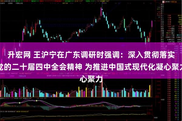 升宏网 王沪宁在广东调研时强调:深入贯彻落实党的二十届四中全会精神 为推进中国式现代化凝心聚力