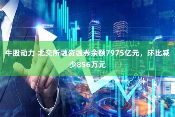 牛股动力 北交所融资融券余额7975亿元，环比减少856万元